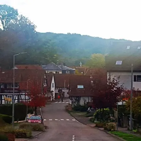 Petit Pour Personne A Apartamento Lobsann